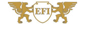 EFI Garant Group IFN